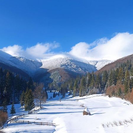 Hotel Під Горбком Bukovets Zewnętrze zdjęcie