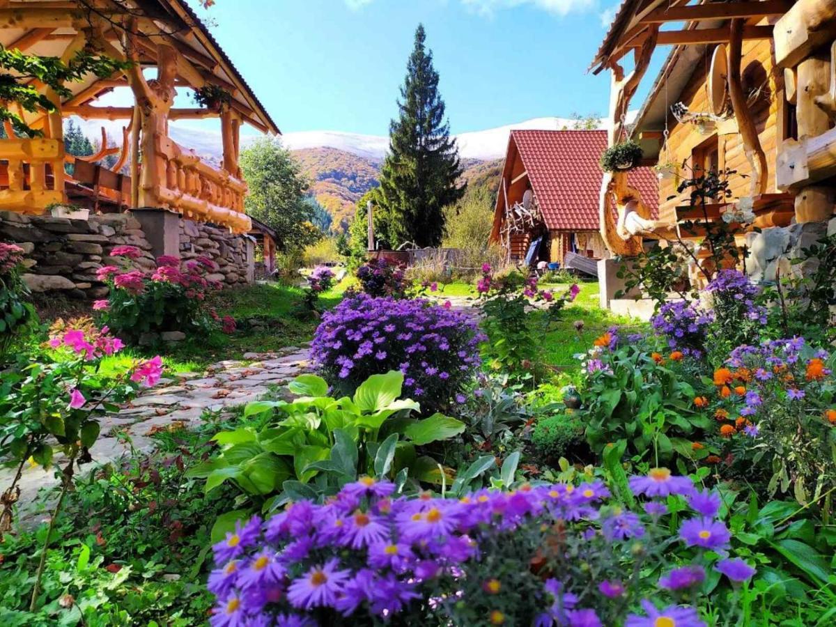 Hotel Під Горбком Bukovets Zewnętrze zdjęcie